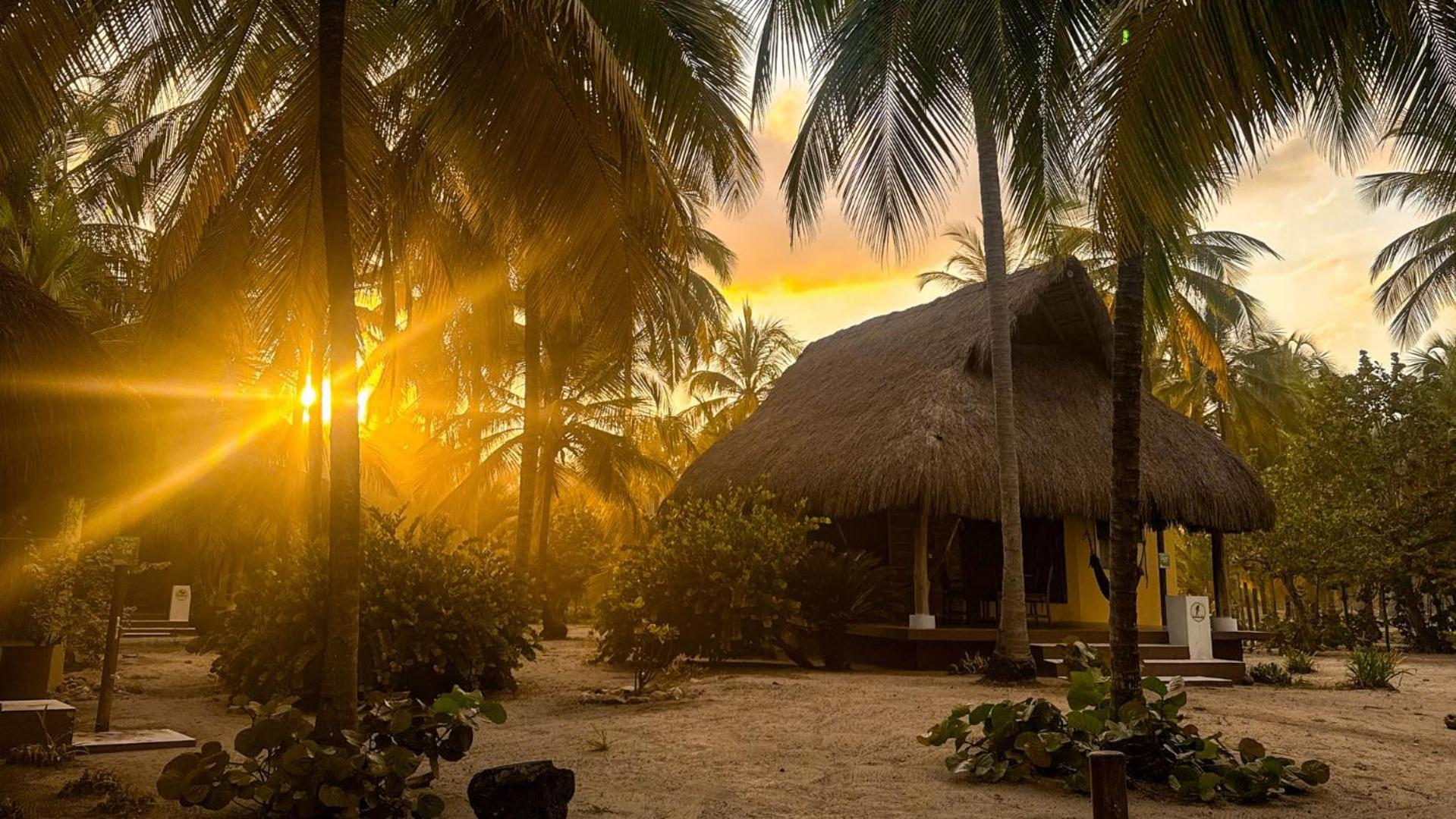 Aite Eco Resort Palomino Exterior photo
