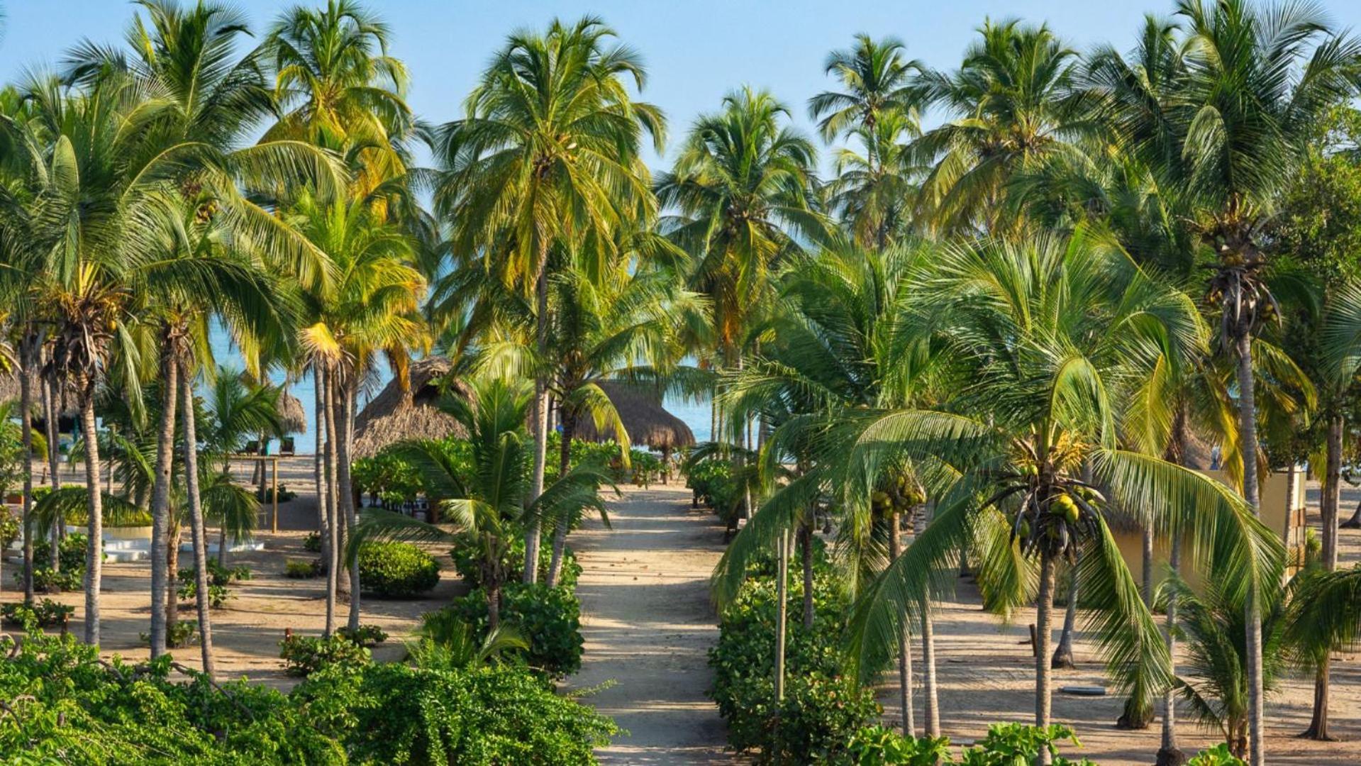 Aite Eco Resort Palomino Exterior photo
