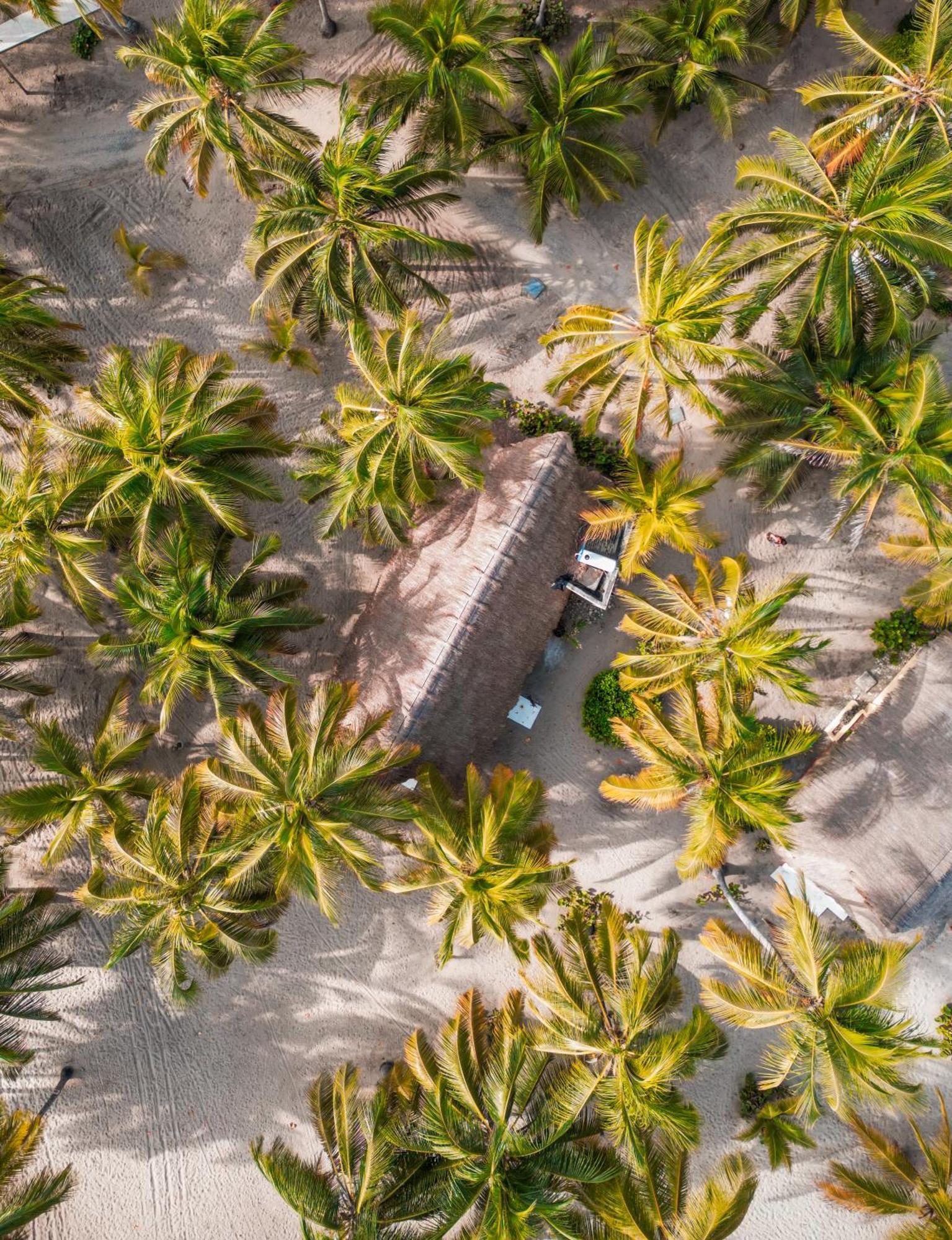 Aite Eco Resort Palomino Exterior photo